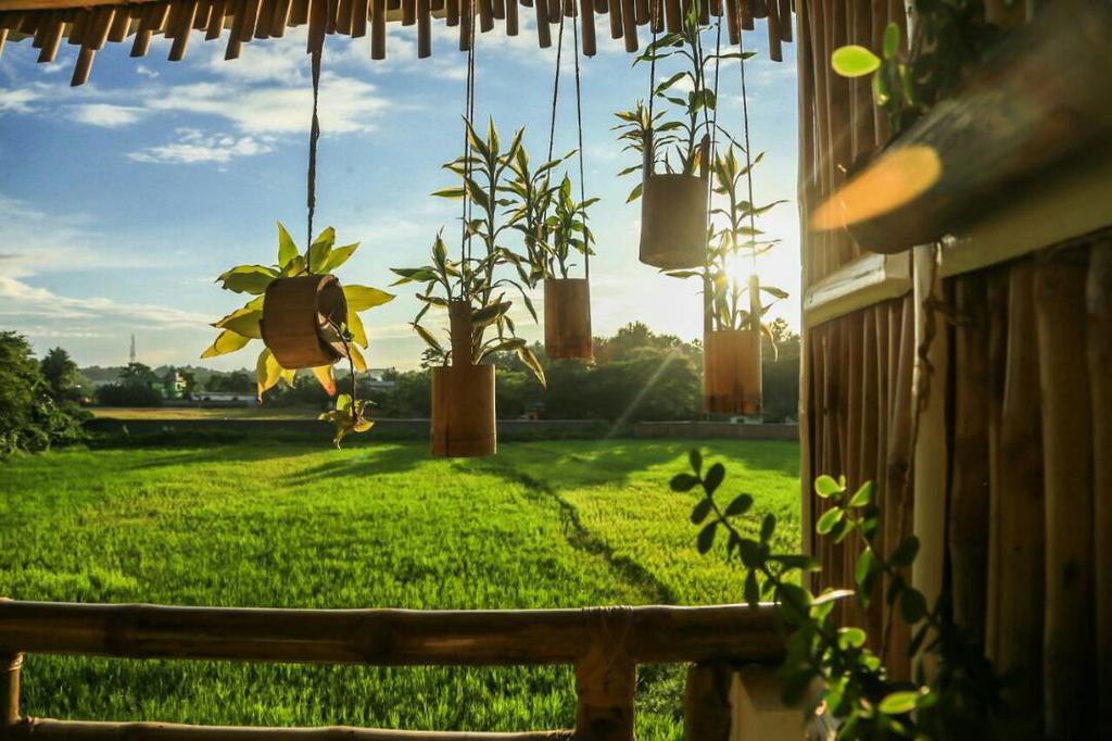 Longchen Homestay Dimāpur Екстериор снимка