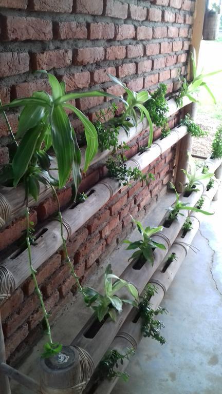 Longchen Homestay Dimāpur Екстериор снимка